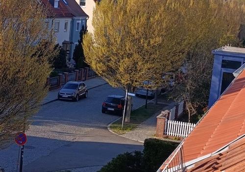 Blick zu den Weinbergen