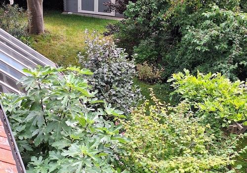 Blick vom Balkon