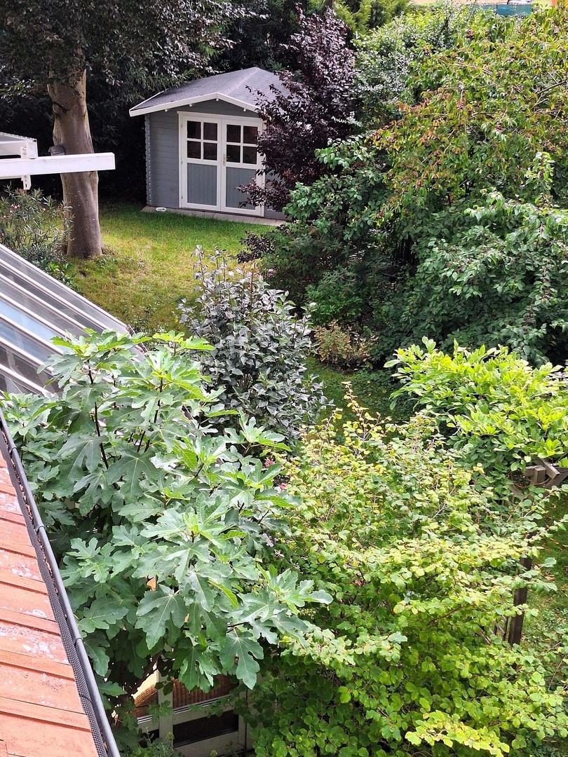 Blick vom Balkon