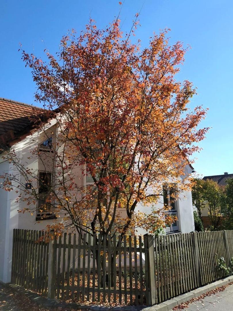 Ostansicht