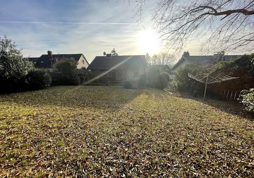 Garten Blick zum Haus
