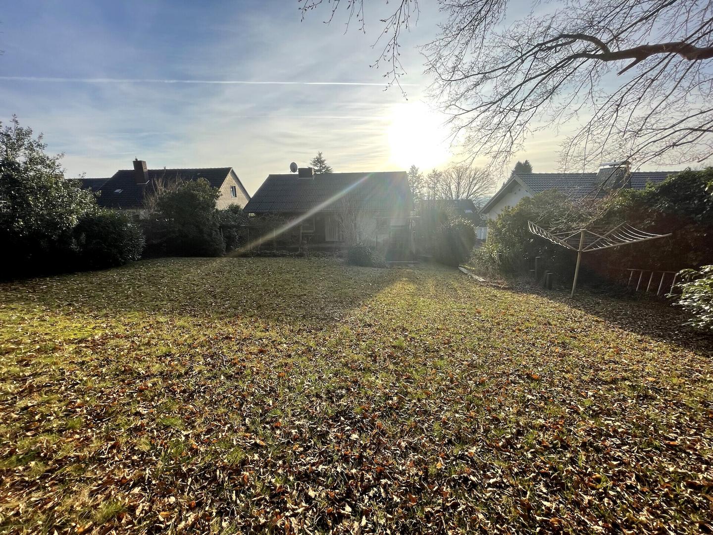 Garten Blick zum Haus