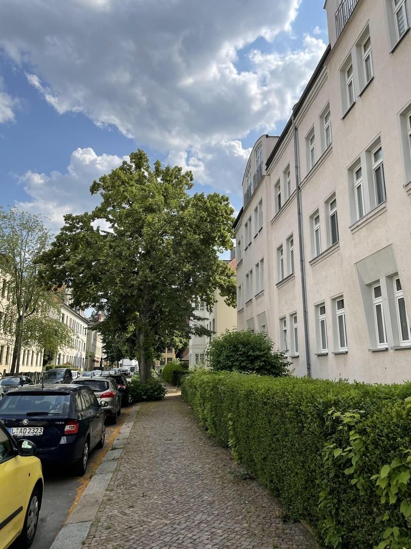 grüne ruhige Seitenstraße