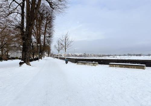 Rheinpromenade