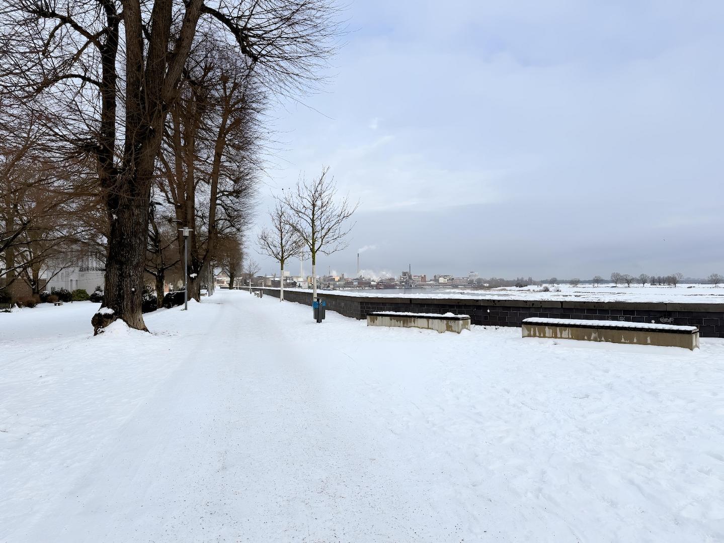 Rheinpromenade