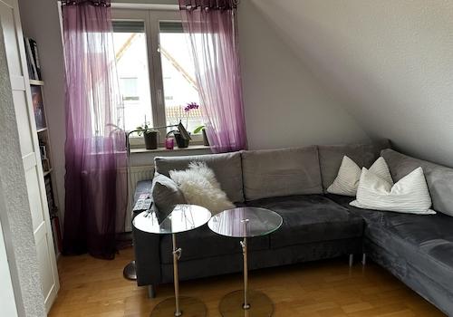Fernsehzimmer (Bild 1)