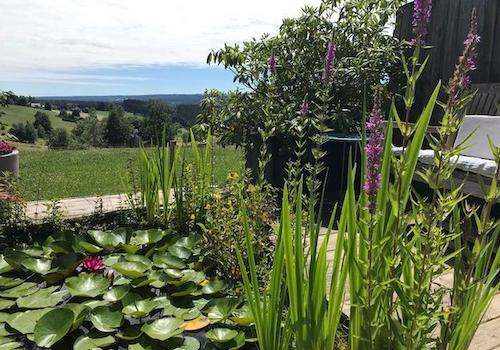 Garten Teich