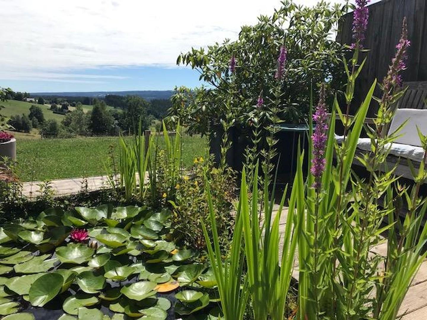 Garten Teich