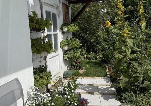 regengeschützt sitzen + Erdbee
