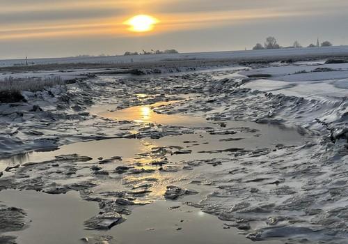 Impression "Langwarder Groden"