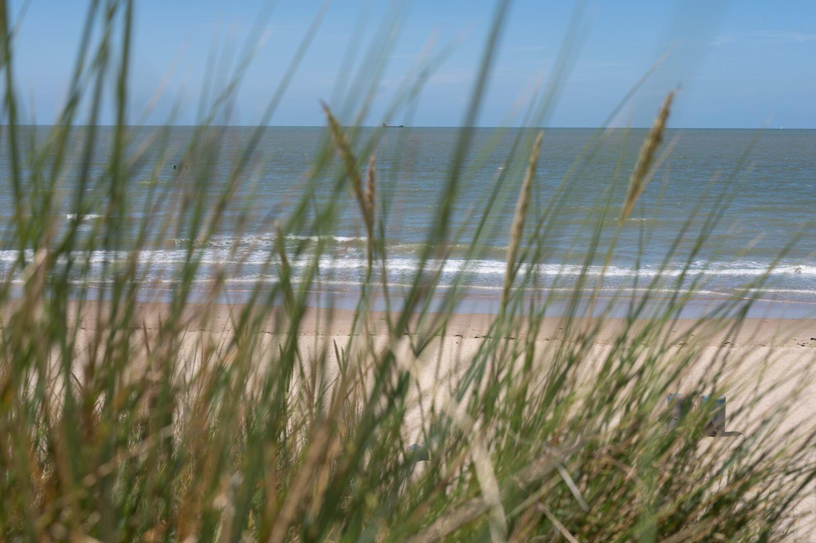 Ferienhaus-Zeeland-kaufen-jpg.009