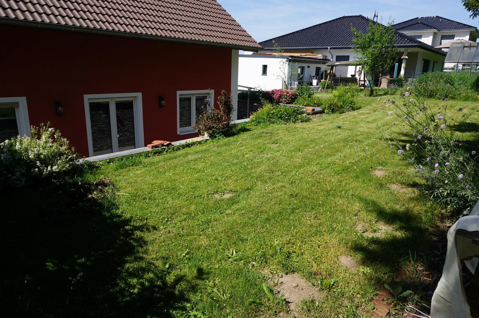 Rasenfläche hinter dem Haus