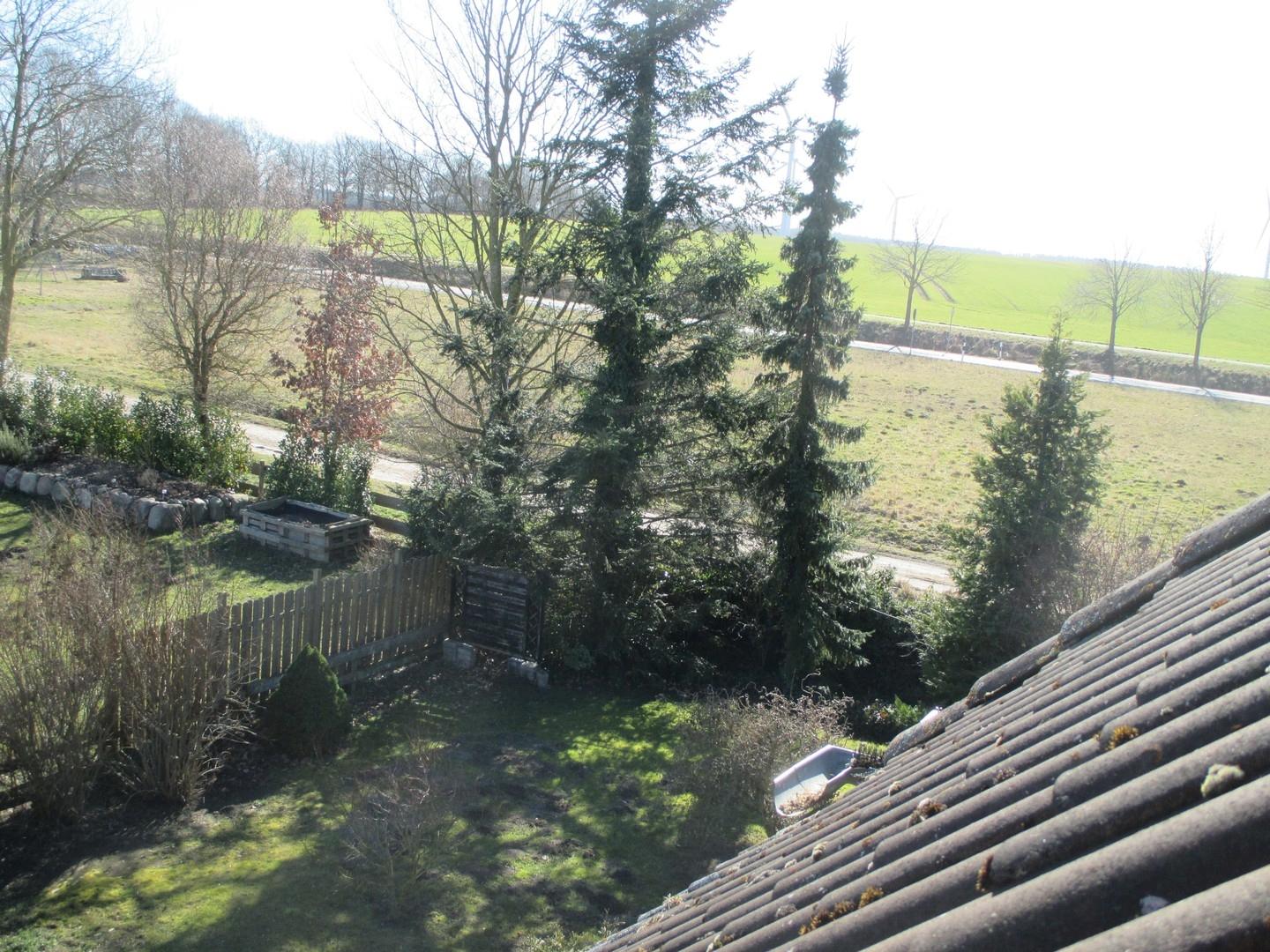 Blick aus Fenster