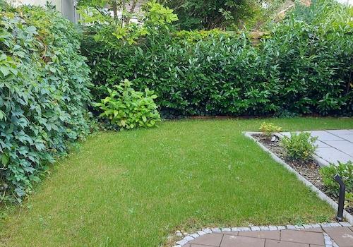 Garten 3