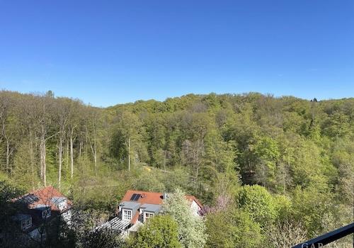 Aussicht vom Balkon