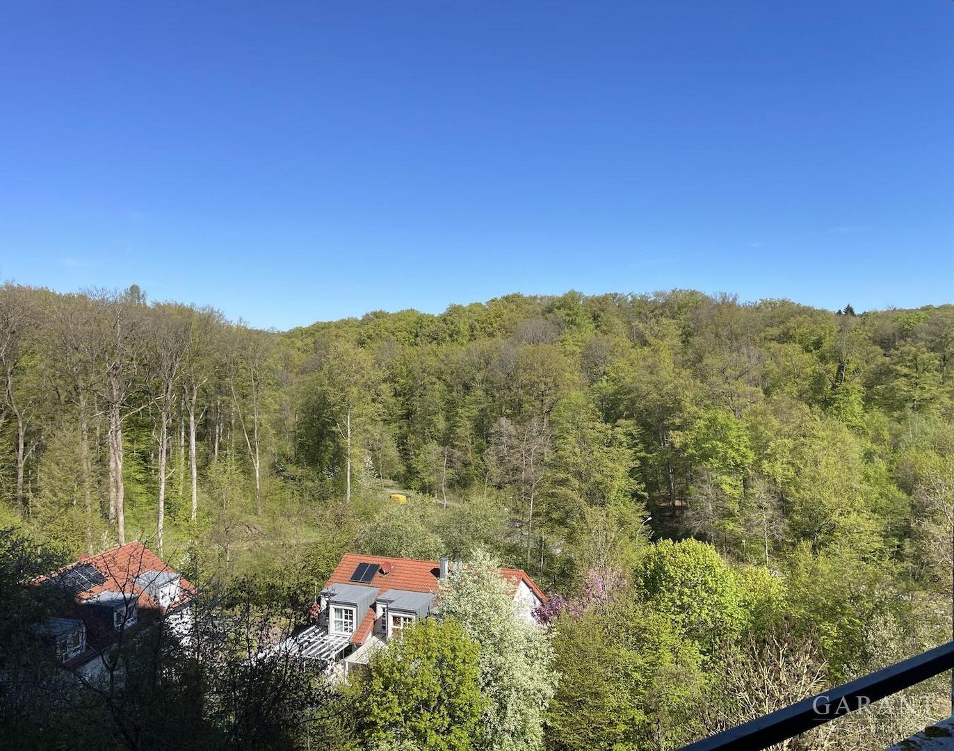Aussicht vom Balkon