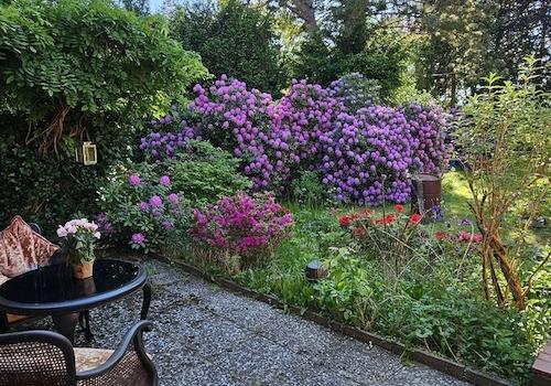 Blick in den Garten