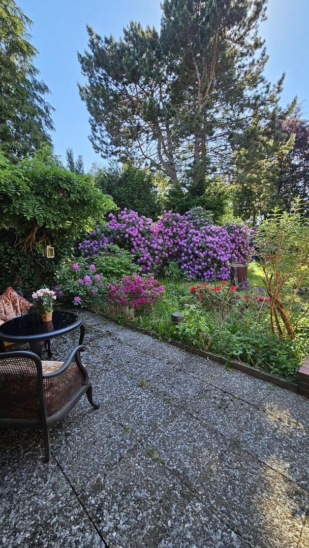 Blick in den Garten