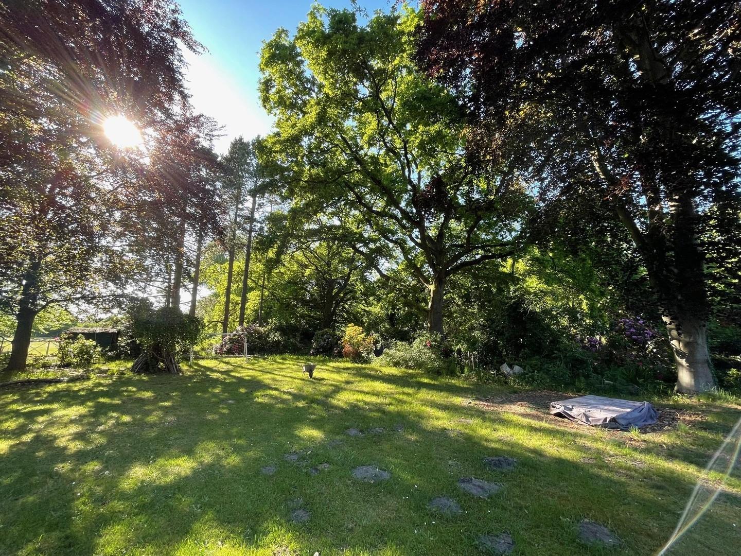 Garten 2