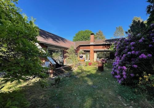 Blick aus dem Garten aufs Haus