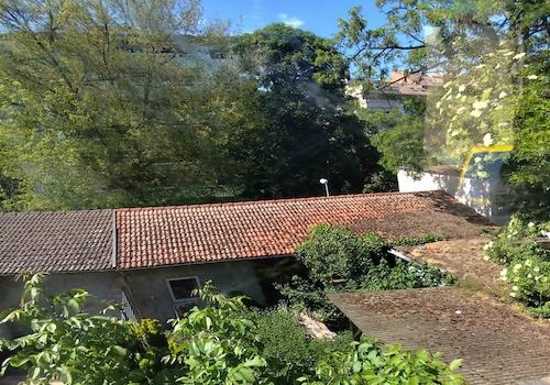 Blick von oben auf Garten/Garagen