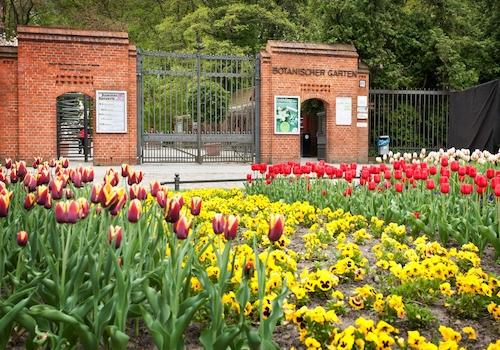 Botanischer Garten