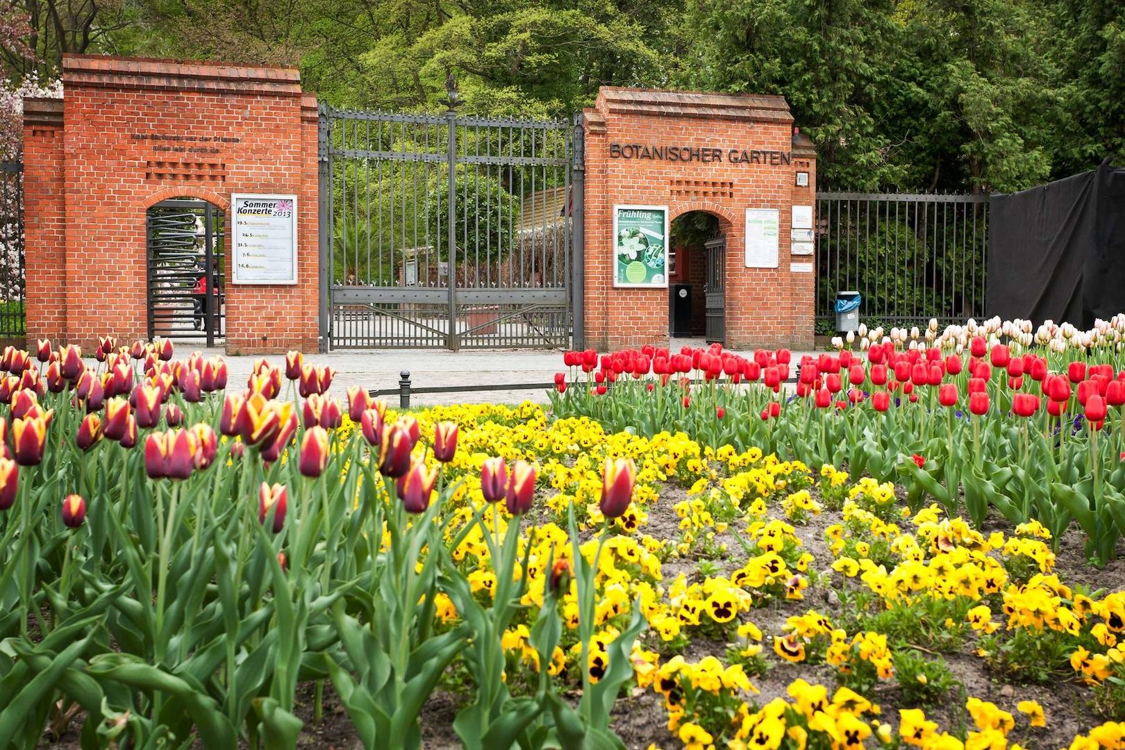 Botanischer Garten