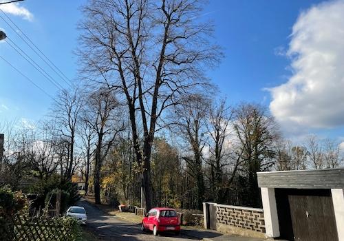 Sackgasse (1)