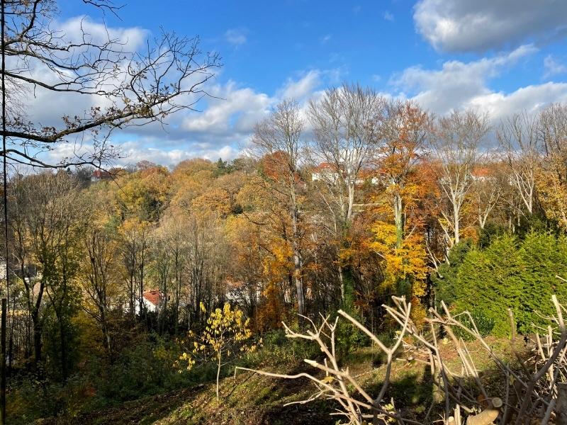 Blick nach Norden (4)