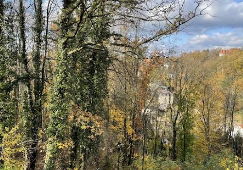 Blick nach Westen (2)