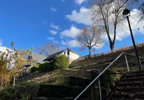 Frisch gerodet (1)