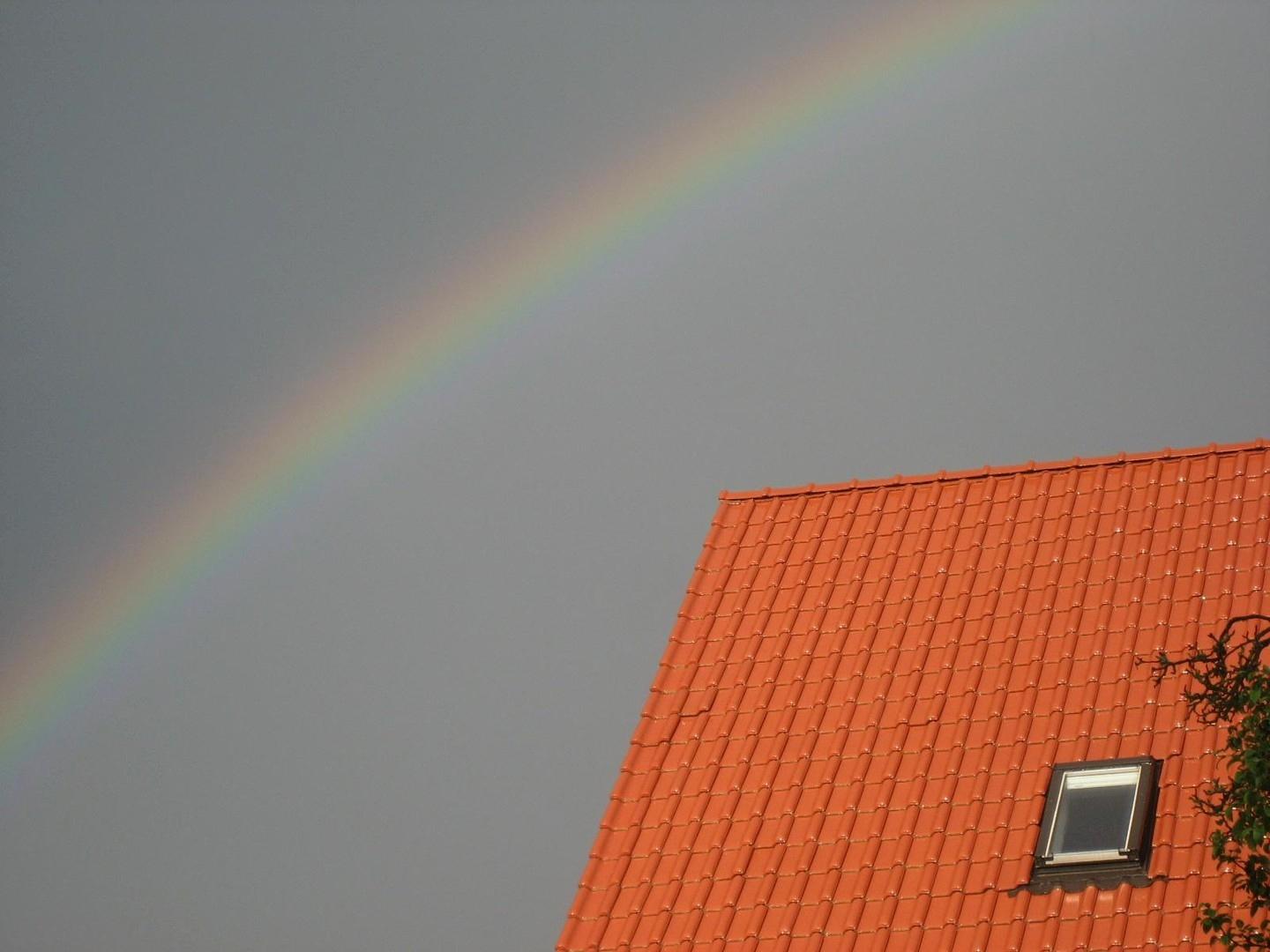 Haus