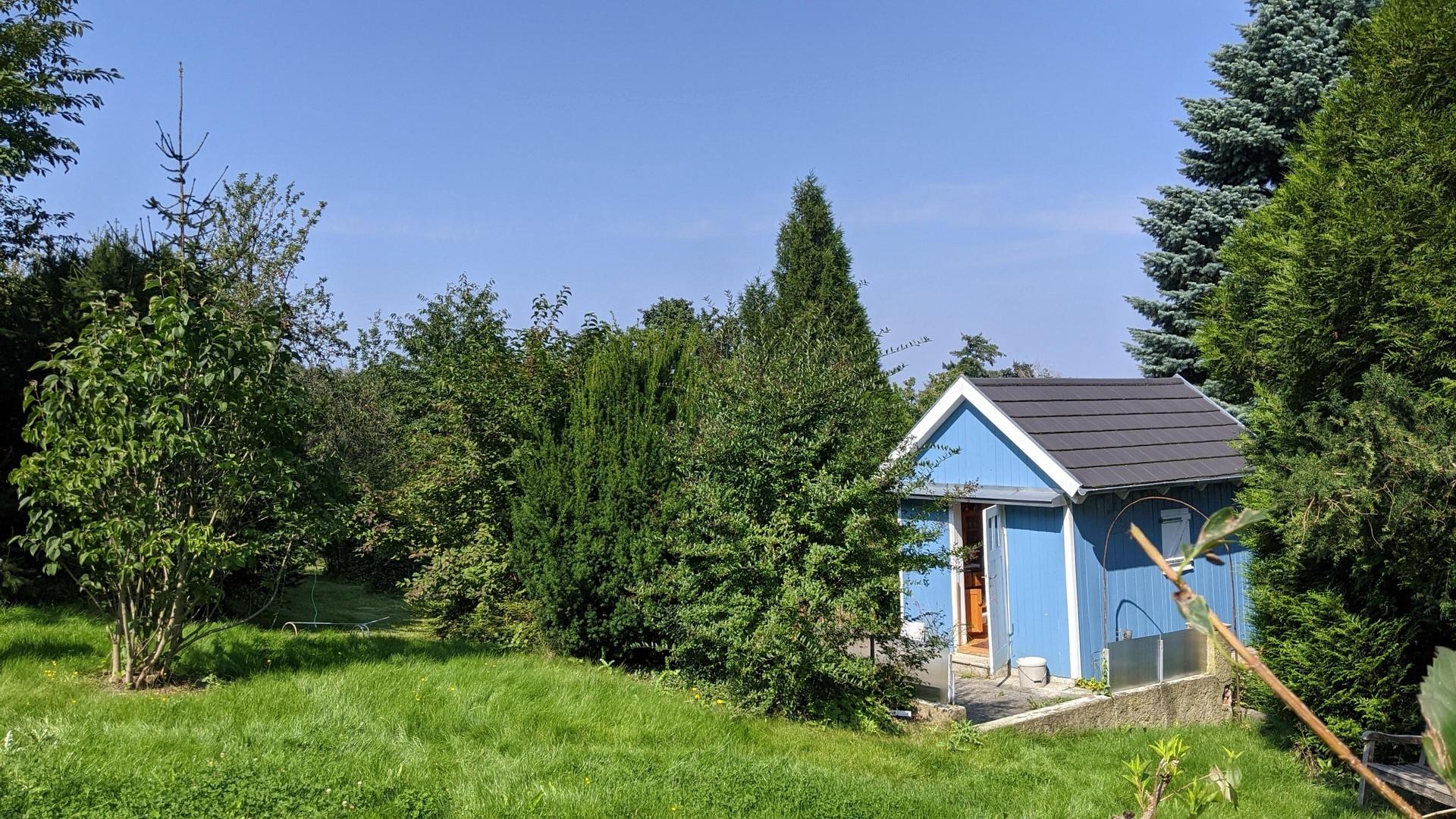 Wiese mit Gartenhaus