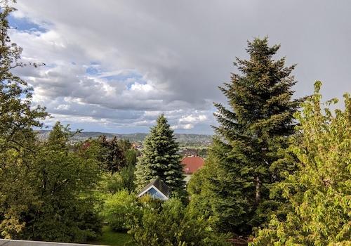Ausblick ins Grüne