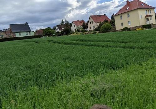 Blick von Grundstück aufs Feld