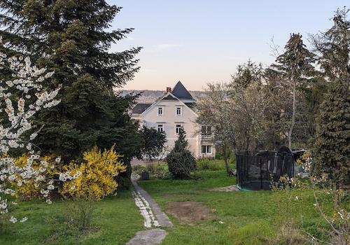 Wiese mit Weg
