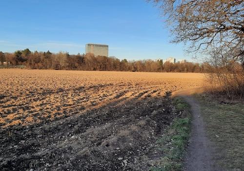 Wanderweg Siemensgebäude