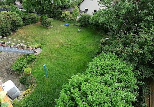 Gemeinschaftsgarten