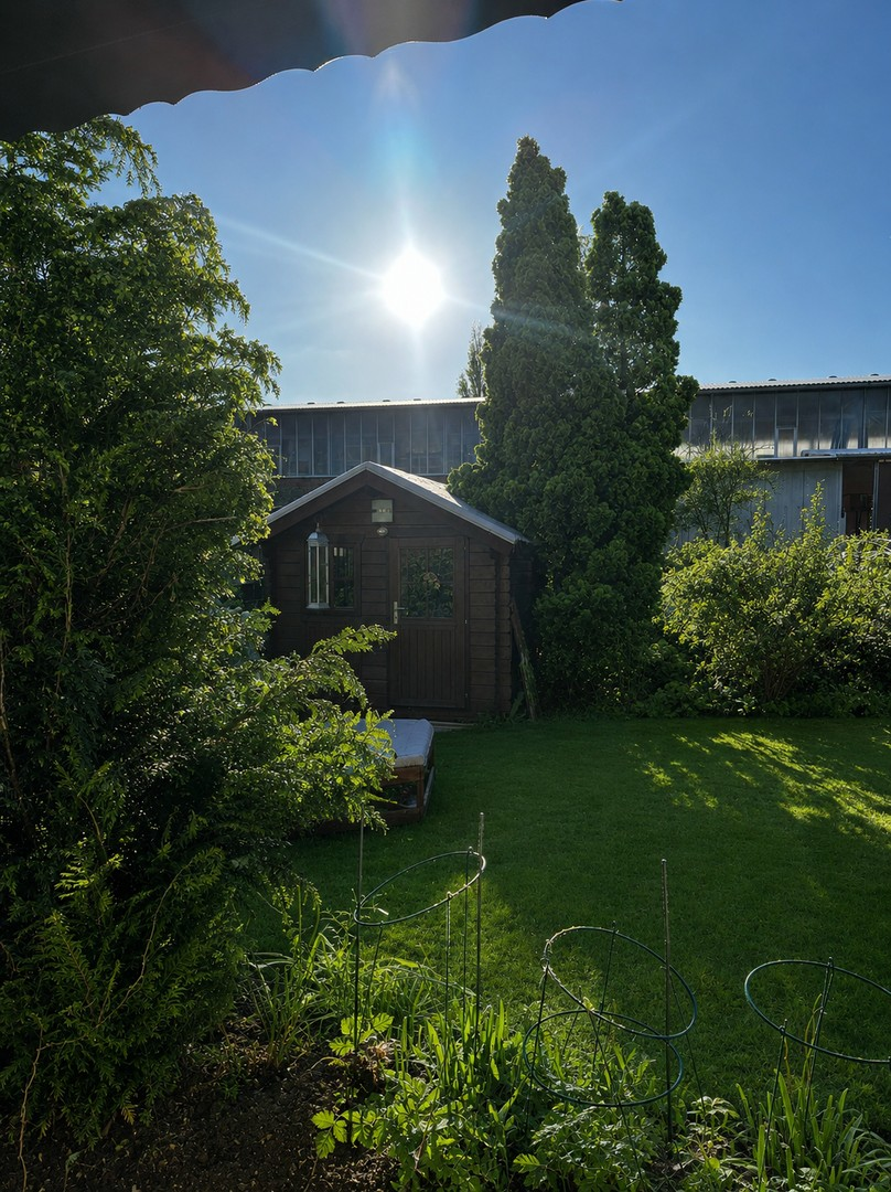 Ausblick in den Garten 