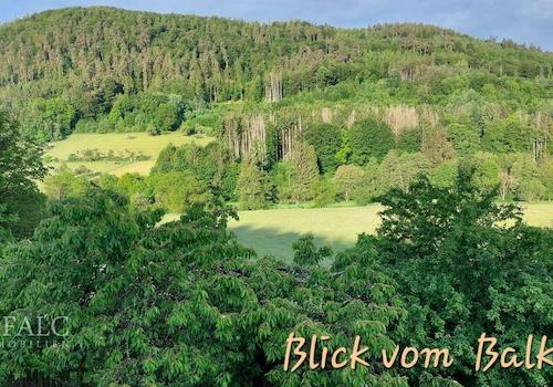 Blick vom Balkon