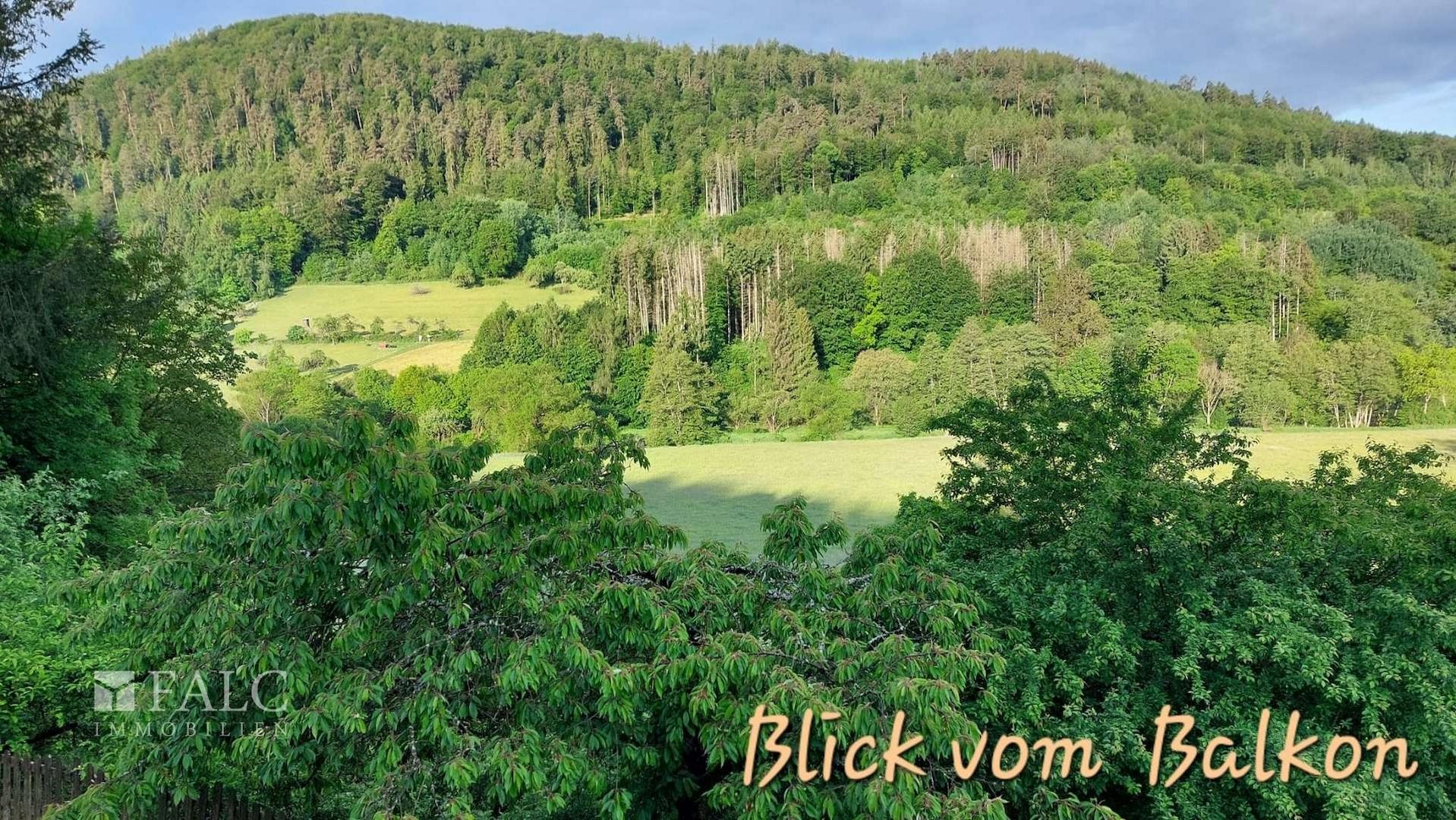 Blick vom Balkon