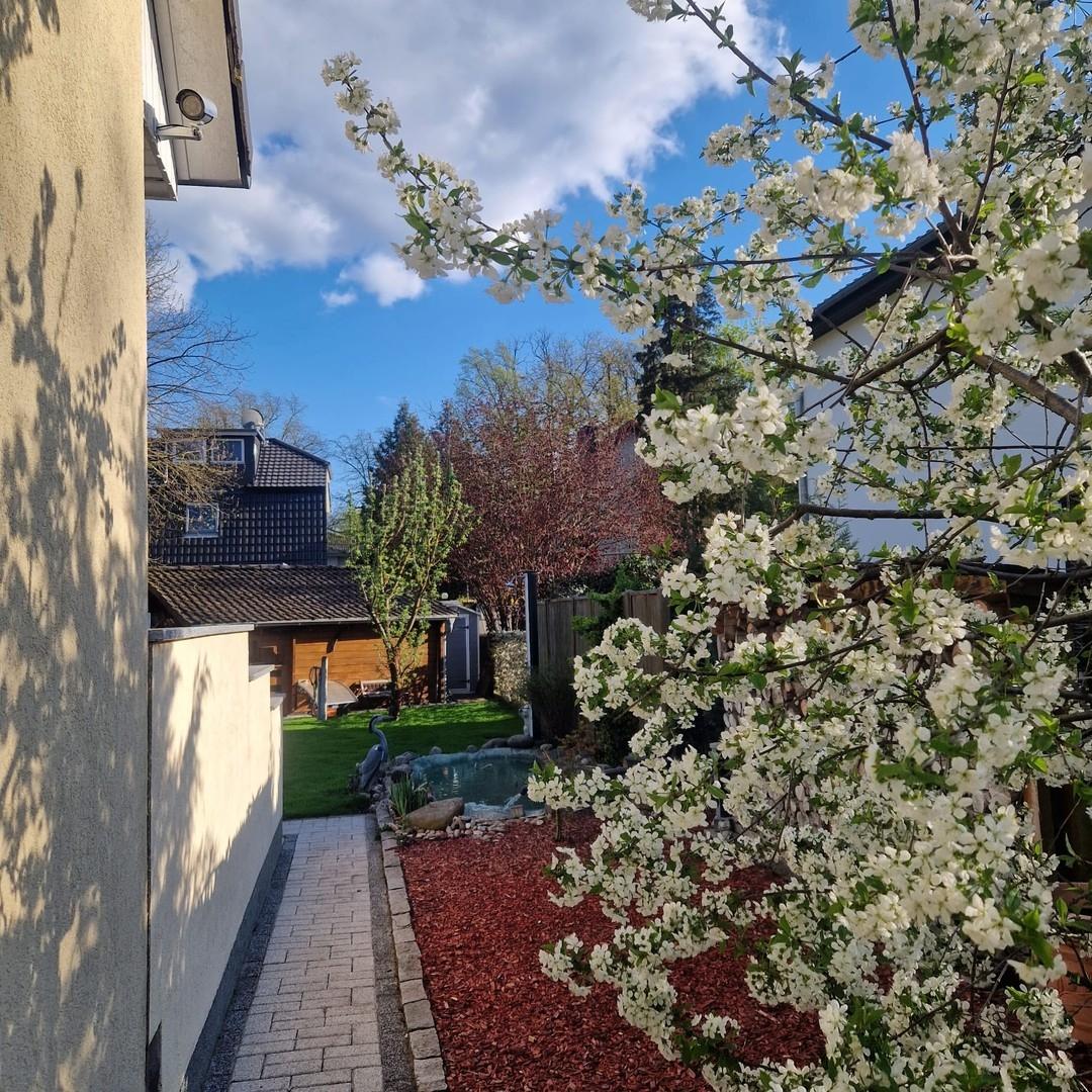 Seitlicher Gartenbereich