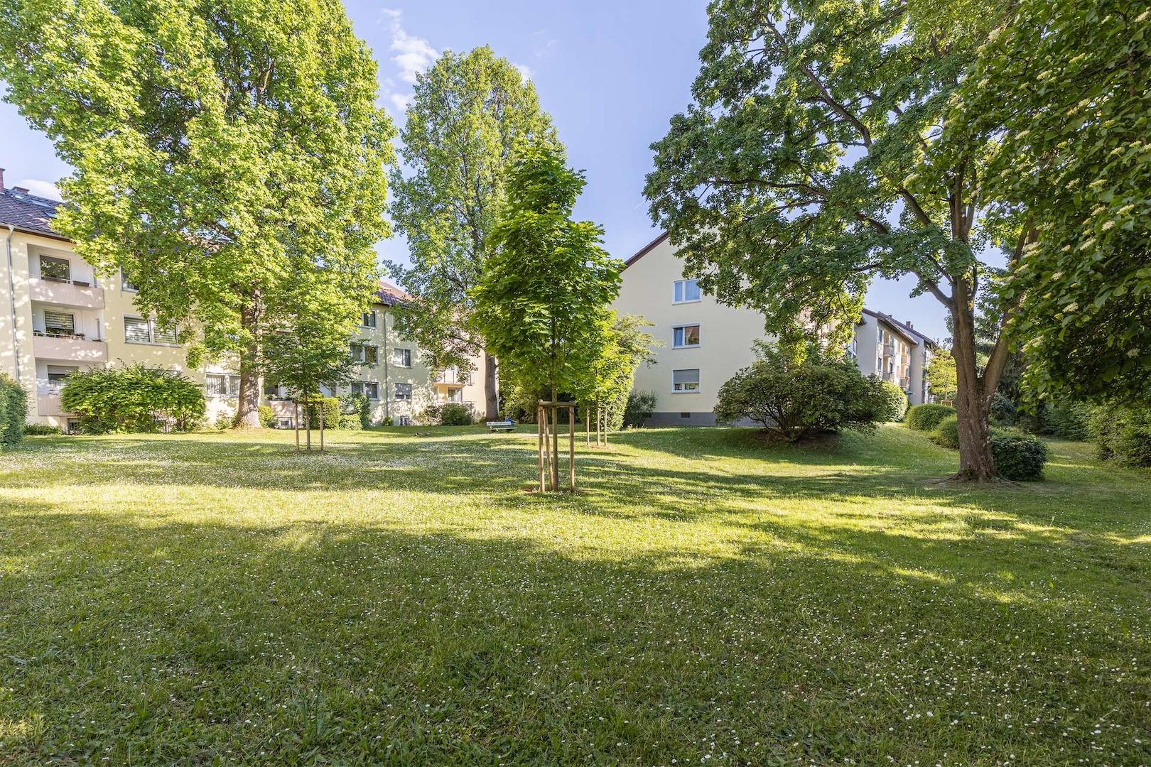 Blick ins Grüne