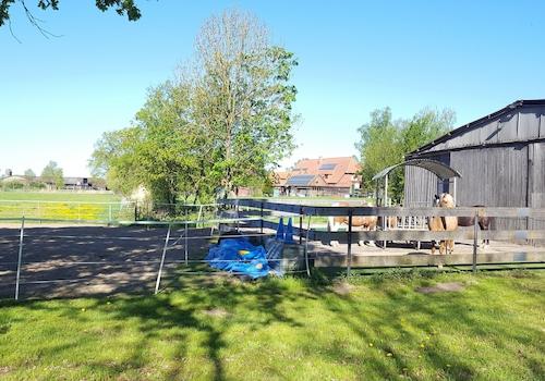 Paddock und Stall