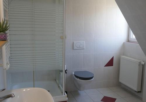 Badezimmer mit Dusche und WC