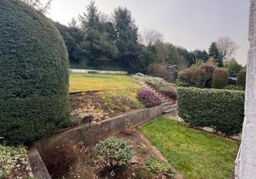 6 Garten