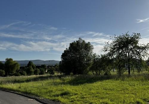 Ostansicht