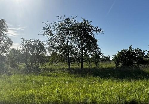 Ostansicht