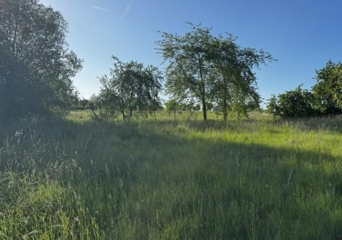 Ostansicht