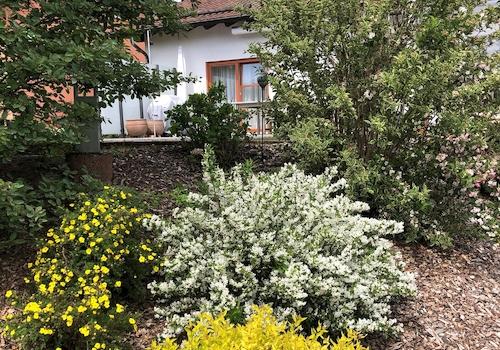Gartenimpressionen